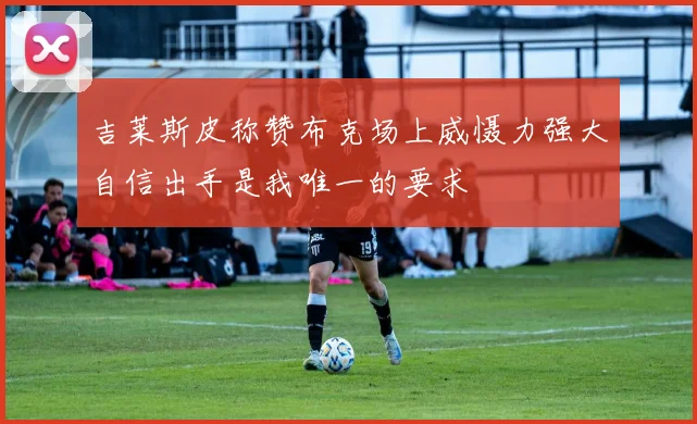 吉莱斯皮称赞布克场上威慑力强大自信出手是我唯一的要求