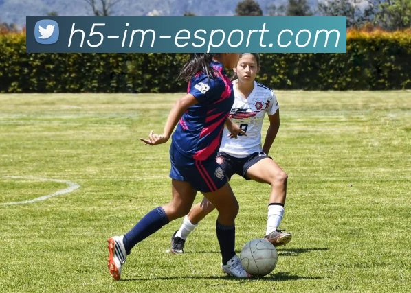 IM电竞品牌故事