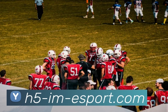 IM电竞服务体系